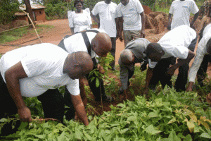 PlantingTree